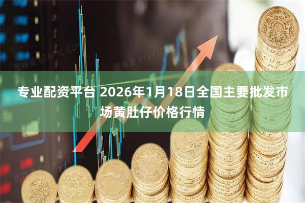 专业配资平台 2026年1月18日全国主要批发市场黄肚仔价格行情
